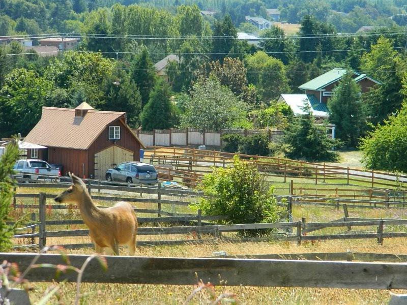 Sq Olympic-View-Cottage Sequim Esterno foto