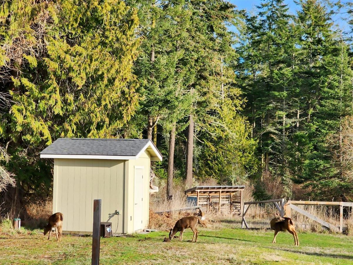 Sq Olympic-View-Cottage Sequim Esterno foto